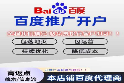 竞价排名关键词优化实战案例分析